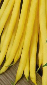 Maxidor adăugat la favorite!