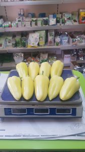 Rezigo F1 adăugat la favorite!