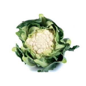 Whiton F1 adăugat la favorite!