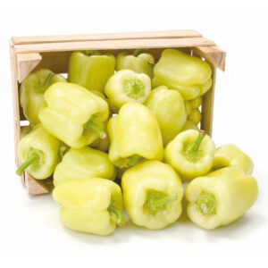 Getic adăugat la favorite!