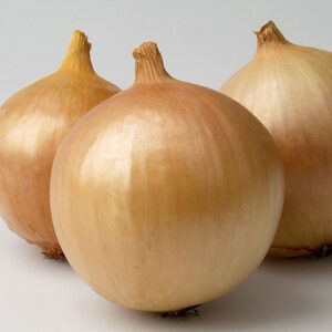 Franzisco adăugat la favorite!