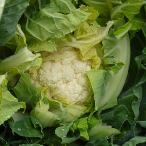 Casper F1 adăugat la favorite!