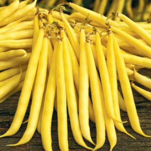 Unidor adăugat la favorite!