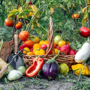 Produse pentru culturi ecologice
