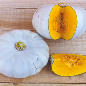 Crown Prince F1 adăugat la favorite!