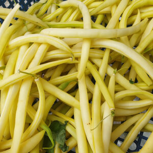 Fruidor adăugat la favorite!