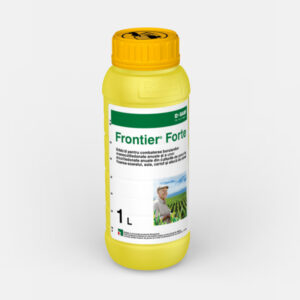 Frontier  Forte adăugat la favorite!