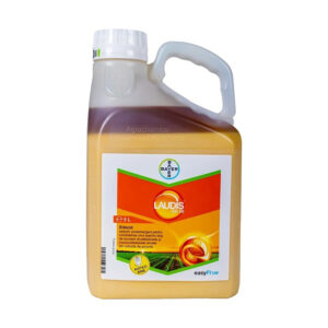 Laudis 66 OD adăugat la favorite!