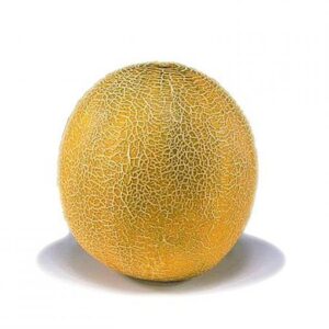 Aikido F1 adăugat la favorite!