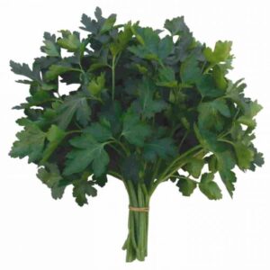 Gigante D’Italia adăugat la favorite!