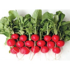 Crunchy King F1 adăugat la favorite!