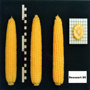 Dessert R80 adăugat la favorite!