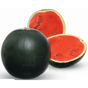 Fire Ball F1 adăugat la favorite!