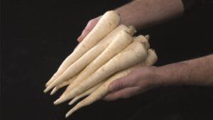 Eagle adăugat la favorite!