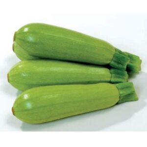 Hiba F1 adăugat la favorite!