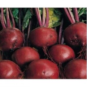 Kestrel F1 adăugat la favorite!