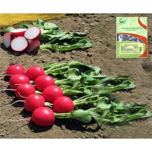 Melito F1 adăugat la favorite!