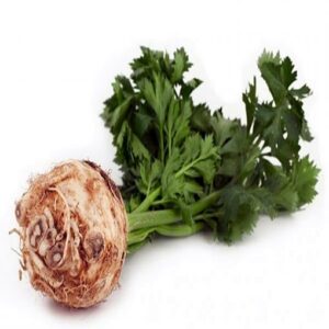 Neon adăugat la favorite!