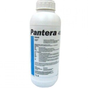 Pantera 40 EC adăugat la favorite!