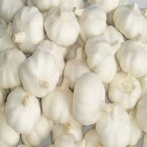 Madaidor adăugat la favorite!