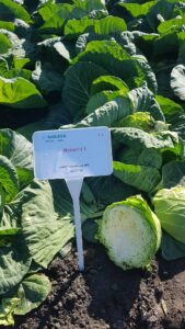 Nozomi F1 adăugat la favorite!