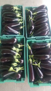 Mirval F1 adăugat la favorite!