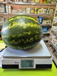 Sinfonia adăugat la favorite!