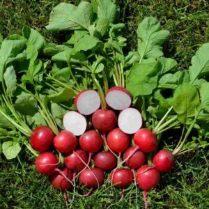 Diego F1 adăugat la favorite!