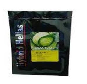 Quantum F1 adăugat la favorite!