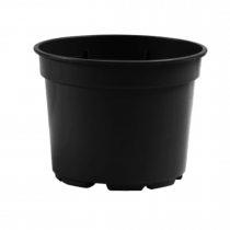 Ghiveci producție BTS 9 cm adăugat la favorite!