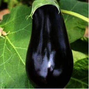 Madonna F1 adăugat la favorite!