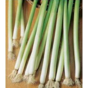 Bulgarian Giant adăugat la favorite!