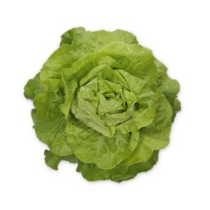 Transpero adăugat la favorite!