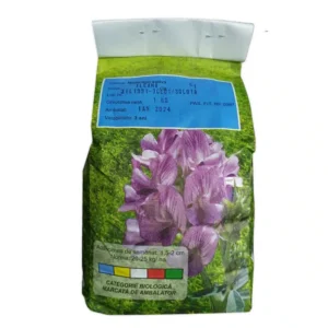 Ileana C1 adăugat la favorite!