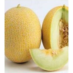 Galia F1 adăugat la favorite!