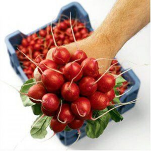 Sora adăugat la favorite!