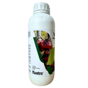 Kuatro adăugat la favorite!