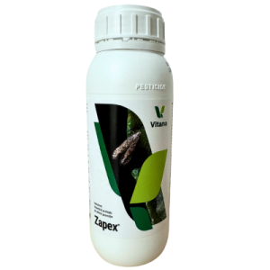 Zapex adăugat la favorite!