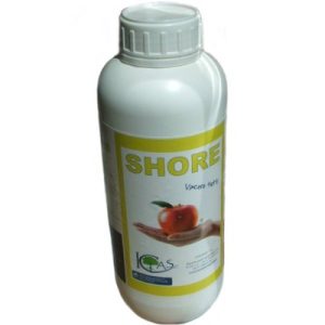 Shore adăugat la favorite!